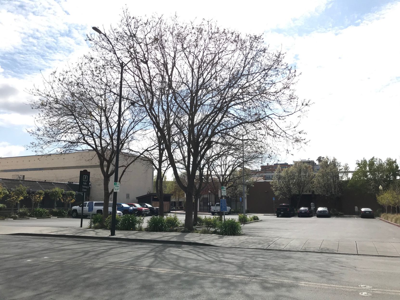 Empty Kohl's parking lot